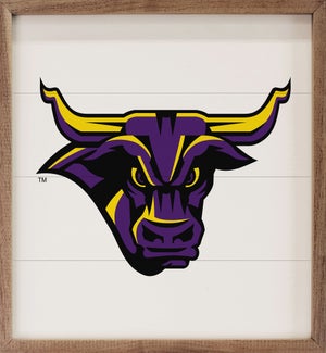 Bold Mascot Minnesota State University Mankato